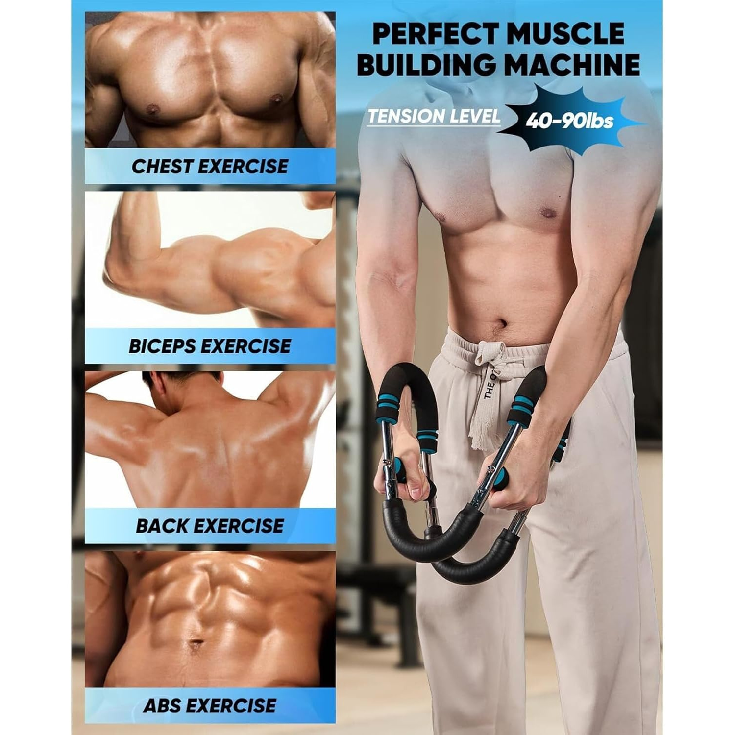 3-Position Twister Arm Trainer - Home Gym Upper Body Workout reseña y precio