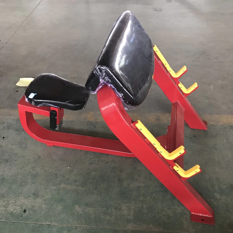 Preacher Curl Biceps Workout M - Vertical Leg Press reseña y precio