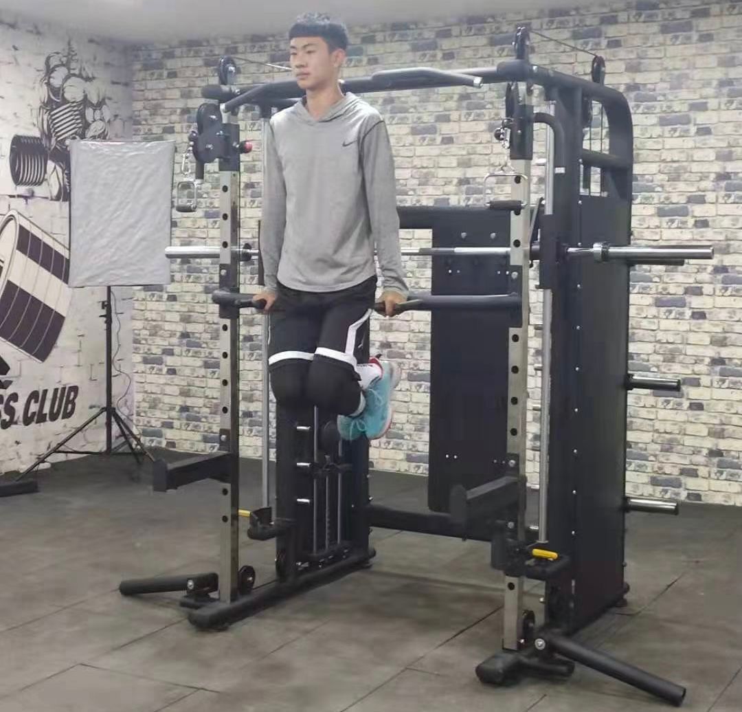 2026 Home Gym Building Multifu - Home Gym With Smith Machine reseña y precio
