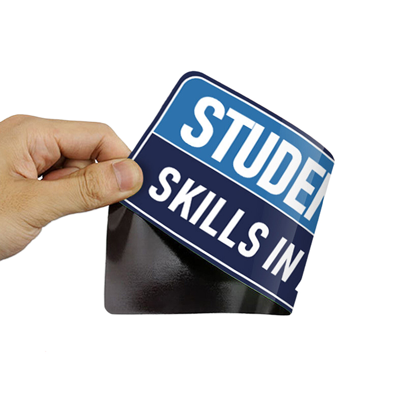 Magnets Decal Stickers Interns - Weight Plate Bumper reseña y precio