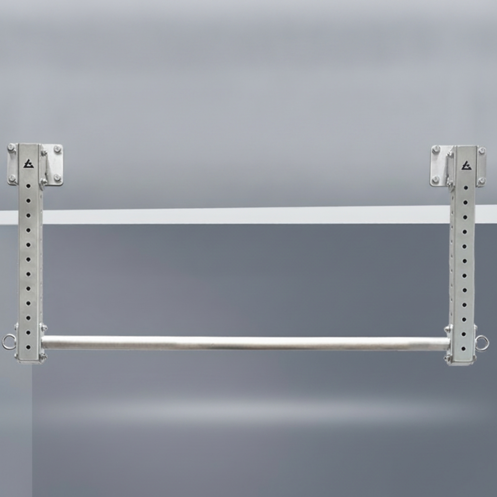 Pull-up Bar with Hanging Rings - Home Gym Wall Mounted reseña y precio