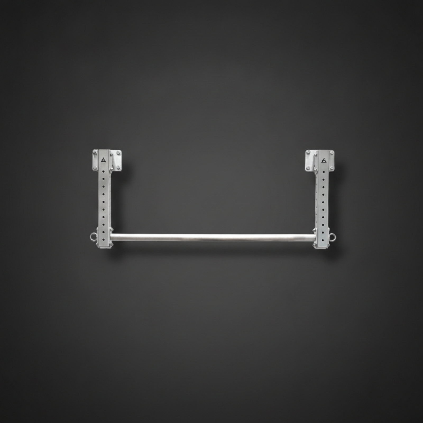 Pull-up Bar with Hanging Rings - Home Gym Wall Mounted reseña y precio