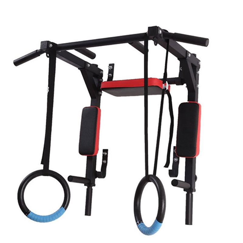 Heavy Duty Wall Mounted Parall - Home Gym Wall Mounted reseña y precio