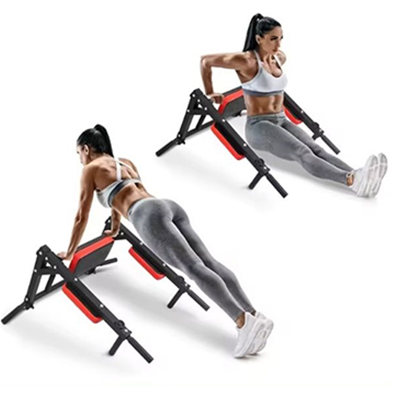Heavy Duty Wall Mounted Parall - Home Gym Wall Mounted reseña y precio