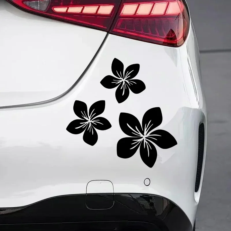 Various Colors Pretty Flower G - Weight Plate Bumper reseña y precio