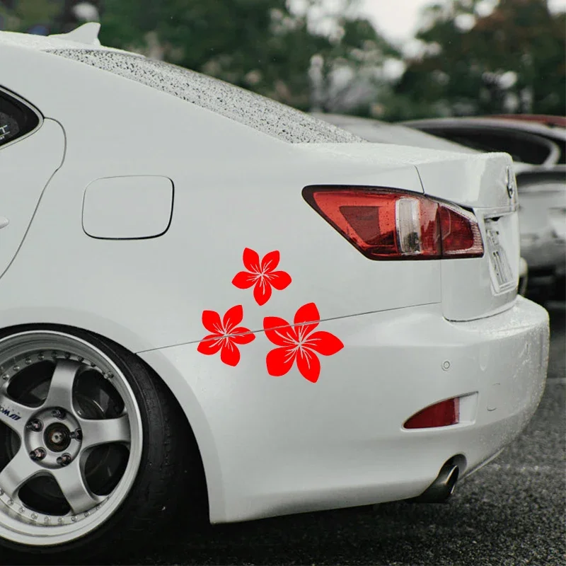 Various Colors Pretty Flower G - Weight Plate Bumper reseña y precio
