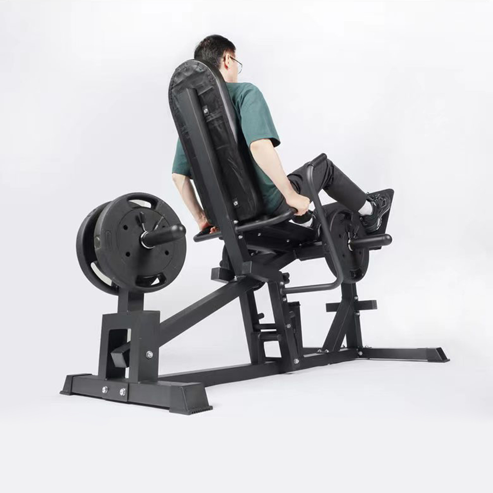 Custom New Arrival Calf Raise  - Vertical Leg Press reseña y precio