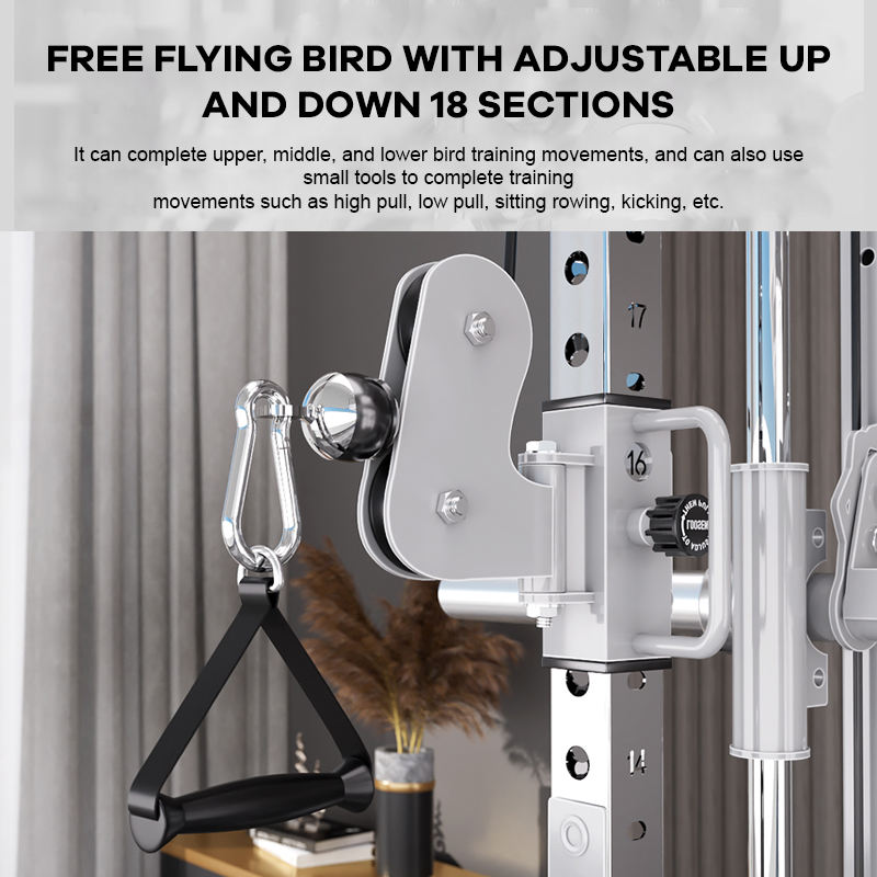 YTYIN Factory Supplier Home Gy - Home Gym With Smith Machine reseña y precio