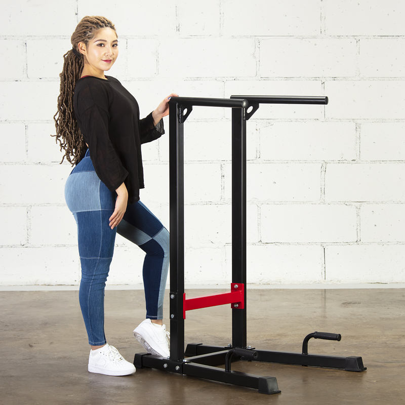 Multi-Function Dip Stand Stati - Home Gym Upper Body Workout reseña y precio